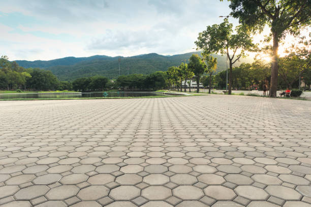 Best Local Driveway Pavers  in Bakersfield Country Clu, CA